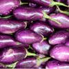Brinjal