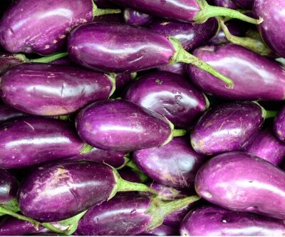 Brinjal