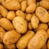 Potato