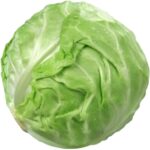 Cabbage