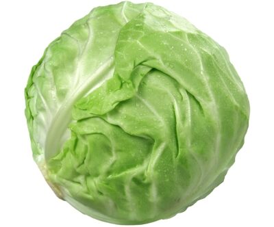 Cabbage