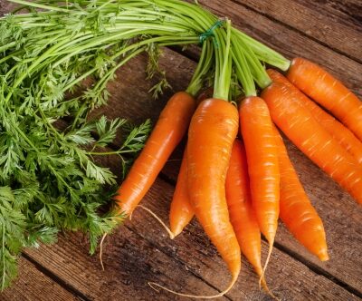 Carrot