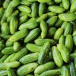 Ivy Gourd