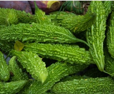 Bitter Gourd