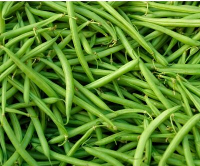 Beans