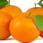 Oranges
