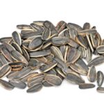 Sunflower seeds