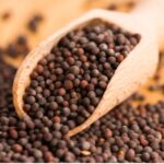 Mustard seeds