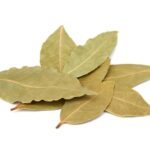 Bayleaf