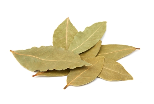 Bayleaf